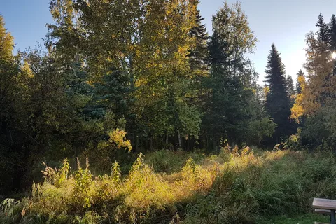 Izaak Walton Campground