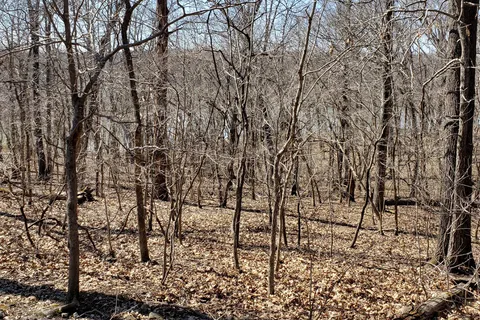 McCubbins Point - Lake of the Ozarks State Park