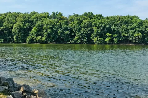 McCubbins Point - Lake of the Ozarks State Park