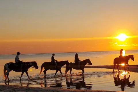 Cedar Island Ranch