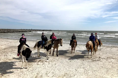 Cedar Island Ranch