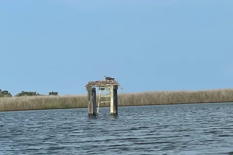 Cedar Island Ranch