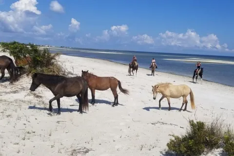 Cedar Island Ranch