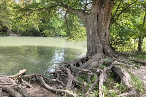 Parc d'État de Guadalupe River