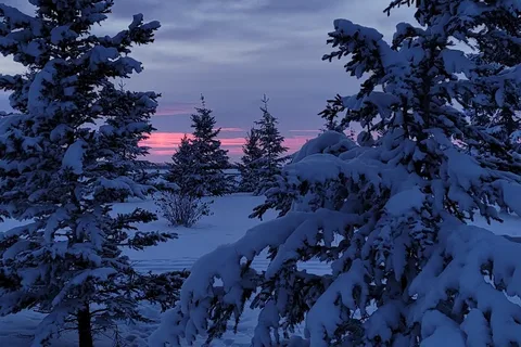 Tobin Lake Resort