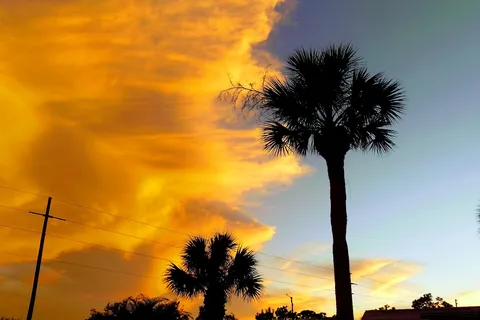 Shell Creek RV Resort and Marina
