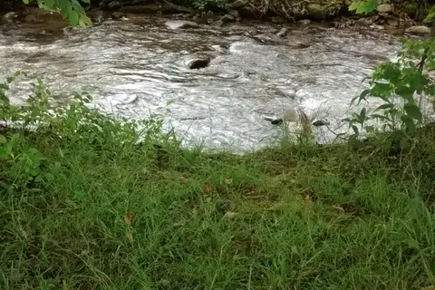 Rippling Waters Creekside RV Park