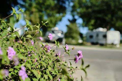 Bakersfield River Run RV Park
