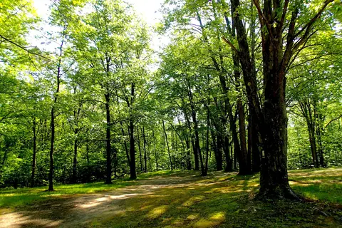 Ludington East / Pere Marquette River KOA Holiday