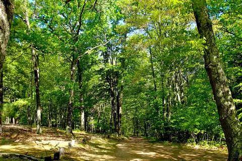 Ludington East / Pere Marquette River KOA Holiday