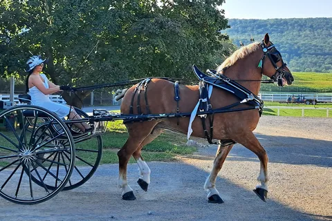 Centre County Grange Fairgrounds