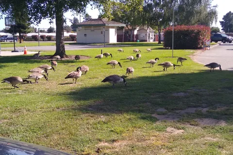 Pinto Lake RV Park