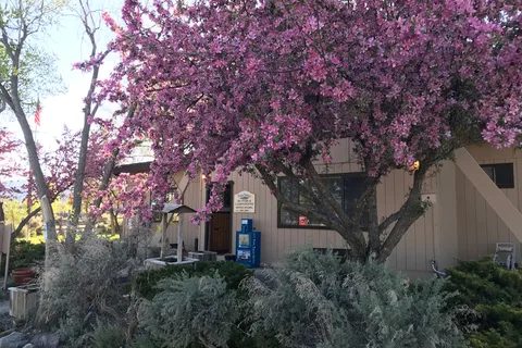 Taos Valley RV Park