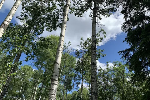 Nitehawk Wilderness RV Park