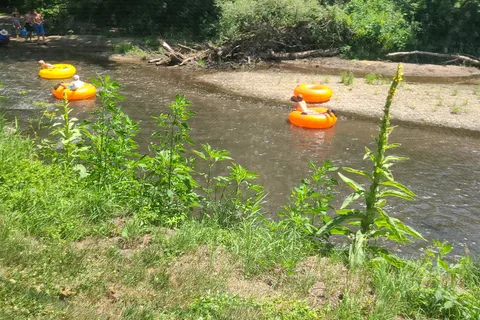 Shades of Sherwood Campground