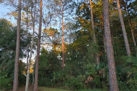Cedar Key RV Resort