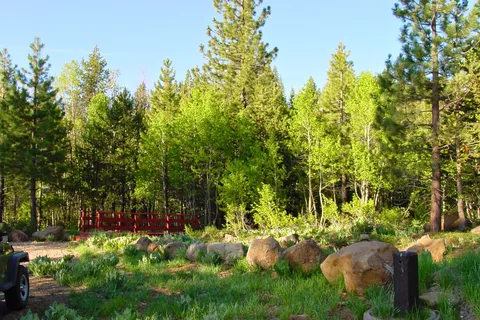 Alder Creek Campground