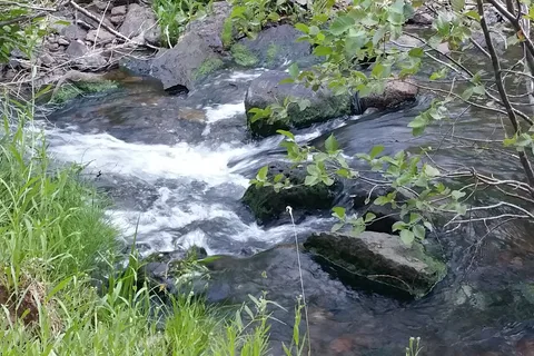 Alder Creek Campground