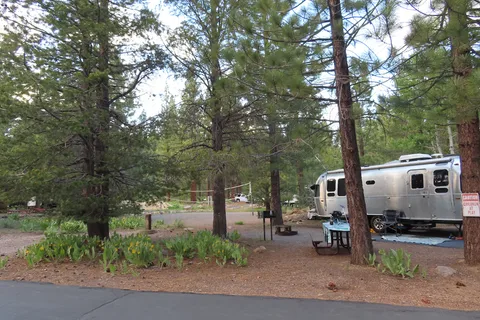 Alder Creek Campground