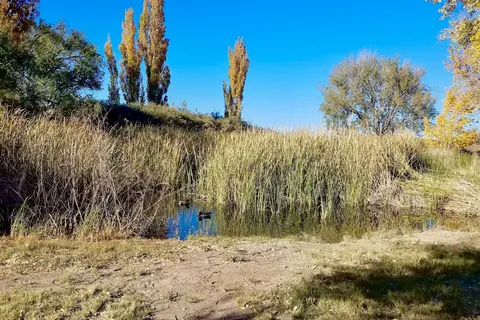 Mountain Springs Ranch RV Park