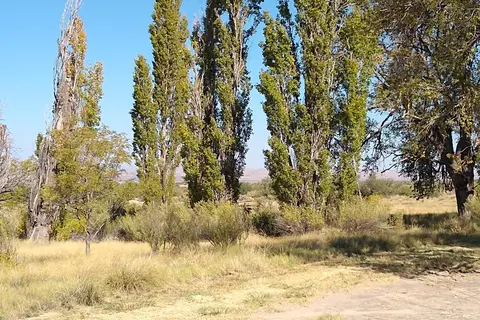Mountain Springs Ranch RV Park