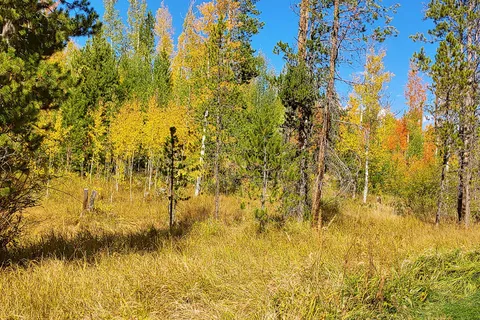 Elk Creek Campground and RV Park