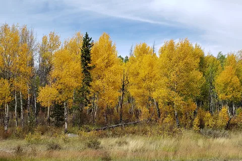 Elk Creek Campground and RV Park