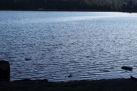 Hawley Lake Apache Indian Res
