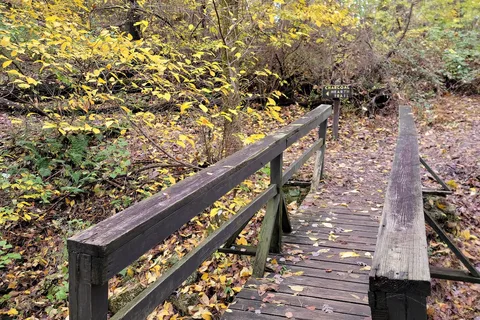 Chinquapin Hill - Caledonia State Park