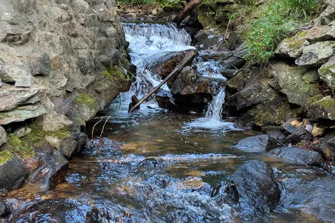Chinquapin Hill - Caledonia State Park