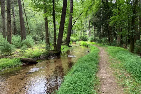 Chinquapin Hill - Caledonia State Park