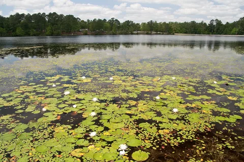 Jack Hill State Park