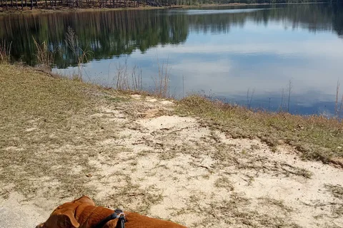 Jack Hill State Park