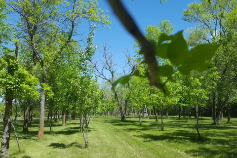 Lakeside Campground