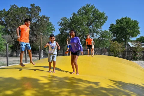 Texas Wine Country Jellystone Park Camp-Resort