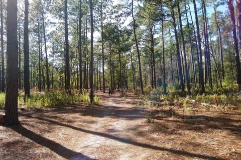 Jones Lake State Park