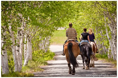 Broadleaf Ranch