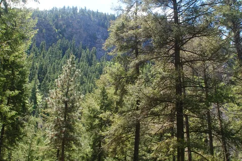 Gold Mountain RV Park