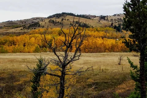 Lundbreck Falls Recreational Area