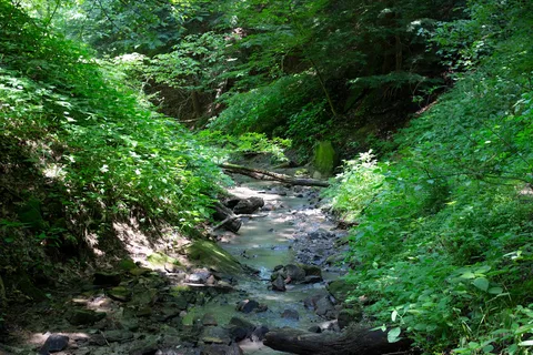 Sioux - Raccoon Creek State Park