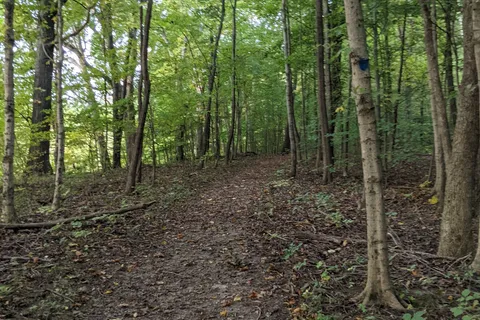 Dillon State Park