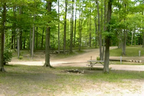 Cadillac Woods Campground