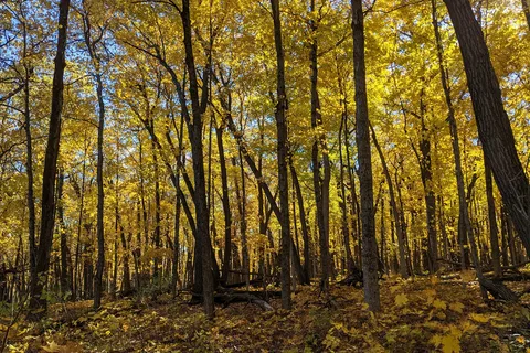 Blue Mound State Park