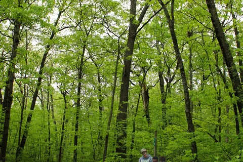 Blue Mound State Park