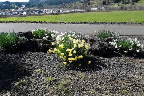 Rice Hill RV Park LLC