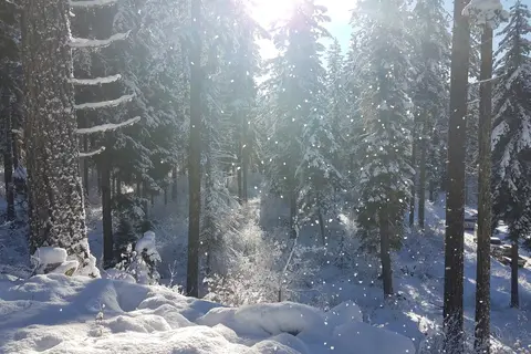 Snow King Sno-Park - Department of Natural Resources