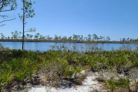 Big Lagoon State Park
