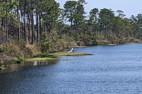 Big Lagoon State Park