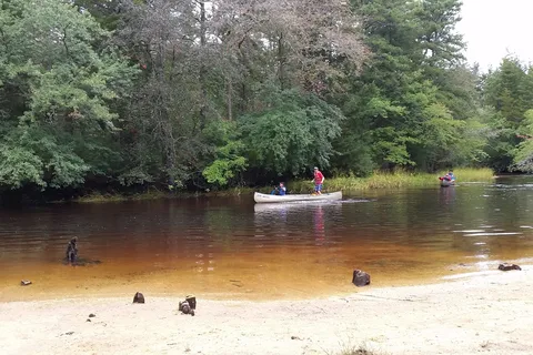 Wharton State Forest - Bodine Field