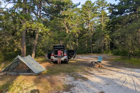 Wharton State Forest - Bodine Field